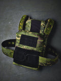 BETA Testing Plate Carrier