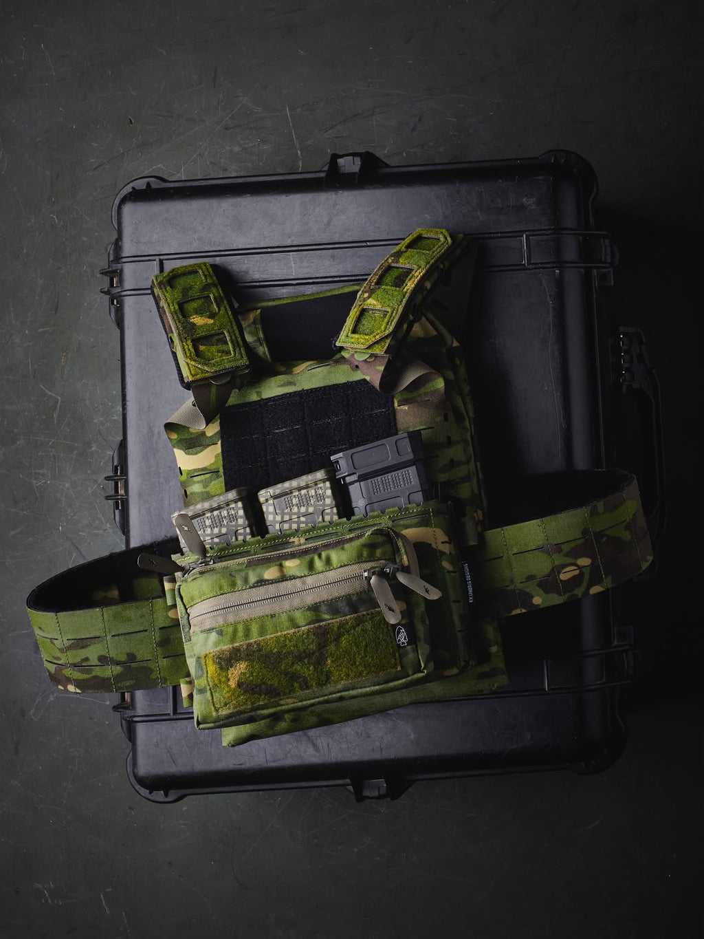 BETA Testing Plate Carrier